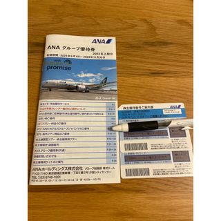 エーエヌエー(ゼンニッポンクウユ)(ANA(全日本空輸))のANA株主優待券2枚　グループ優待冊子(その他)