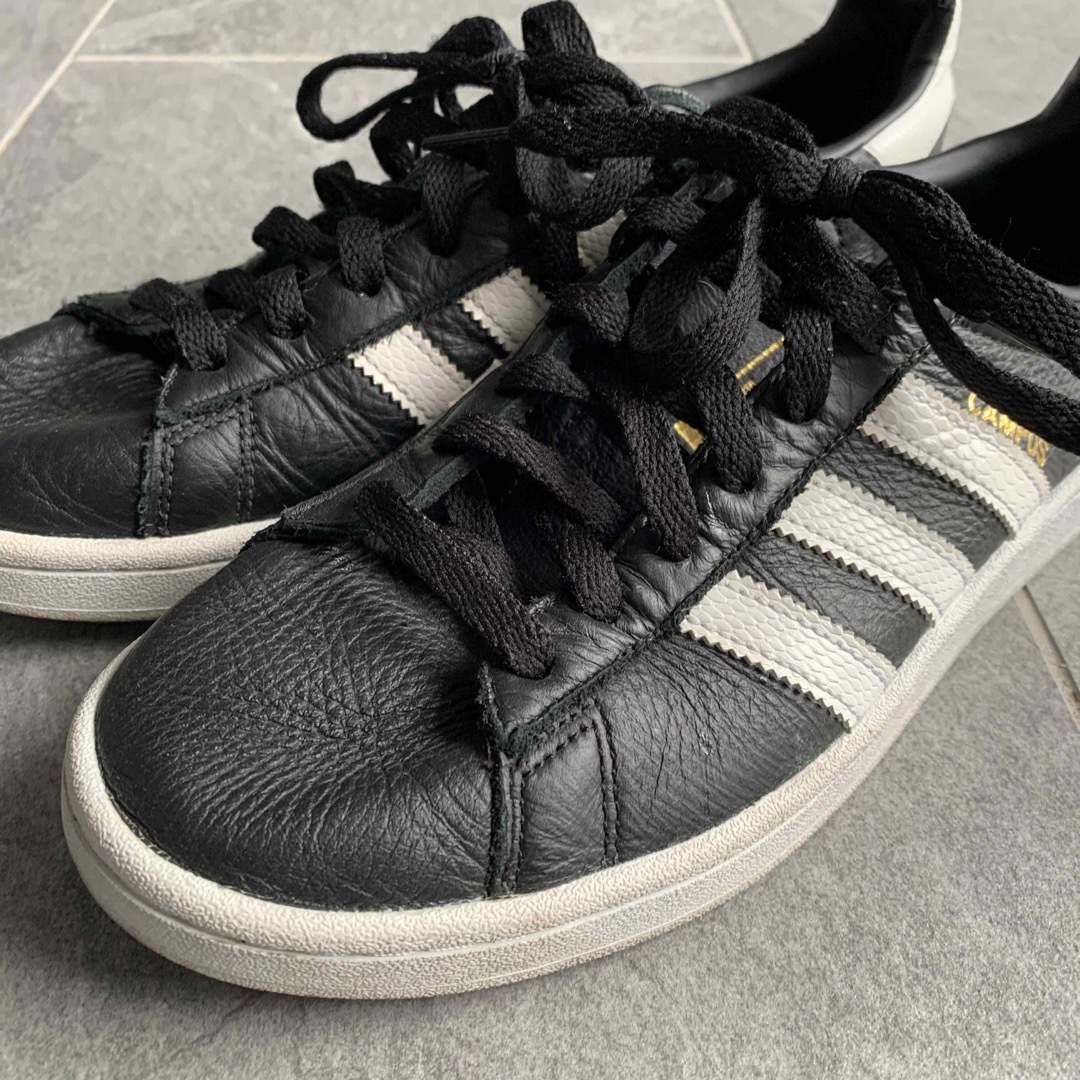 adidas campus 26.5