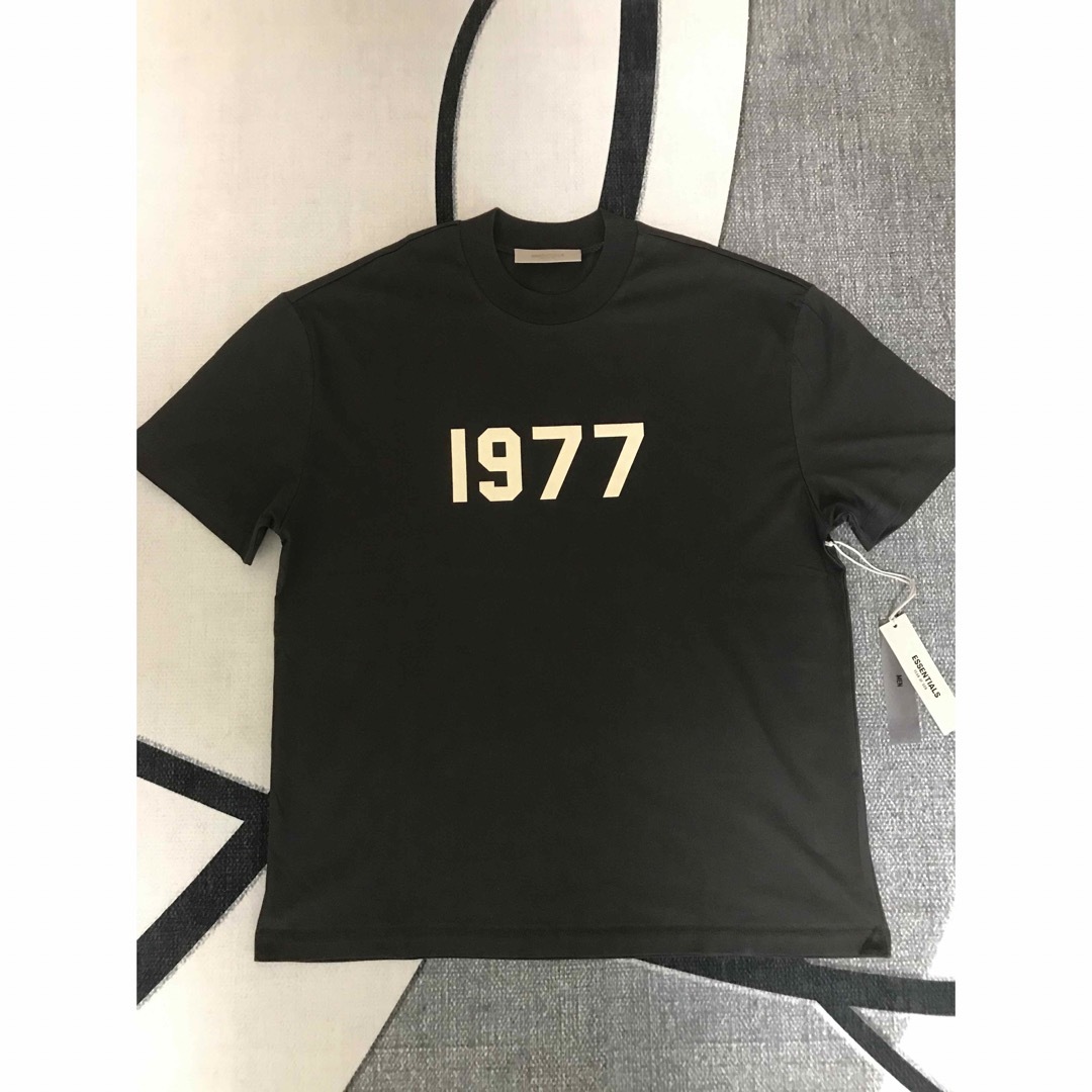 メンズFOG Essentials 1977 T-Shirt Tシャツ L IRON