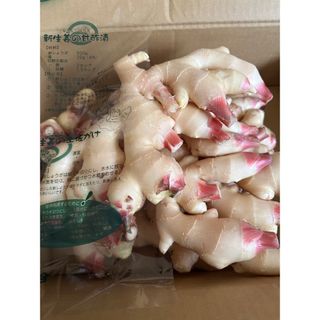 和歌山県産 新生姜 約4kg ショウガ しょうが(野菜)