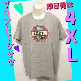 Tシャツ　プリント　夏　レディースメンズ　カジュアル　可愛い　グレー　4XL(Tシャツ/カットソー(半袖/袖なし))