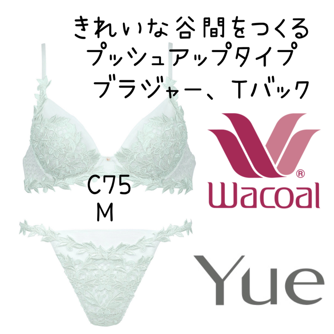 ❤️Yue❤️きれいな谷間をつくるプッシュアップブラ　C75 TバックショーツM