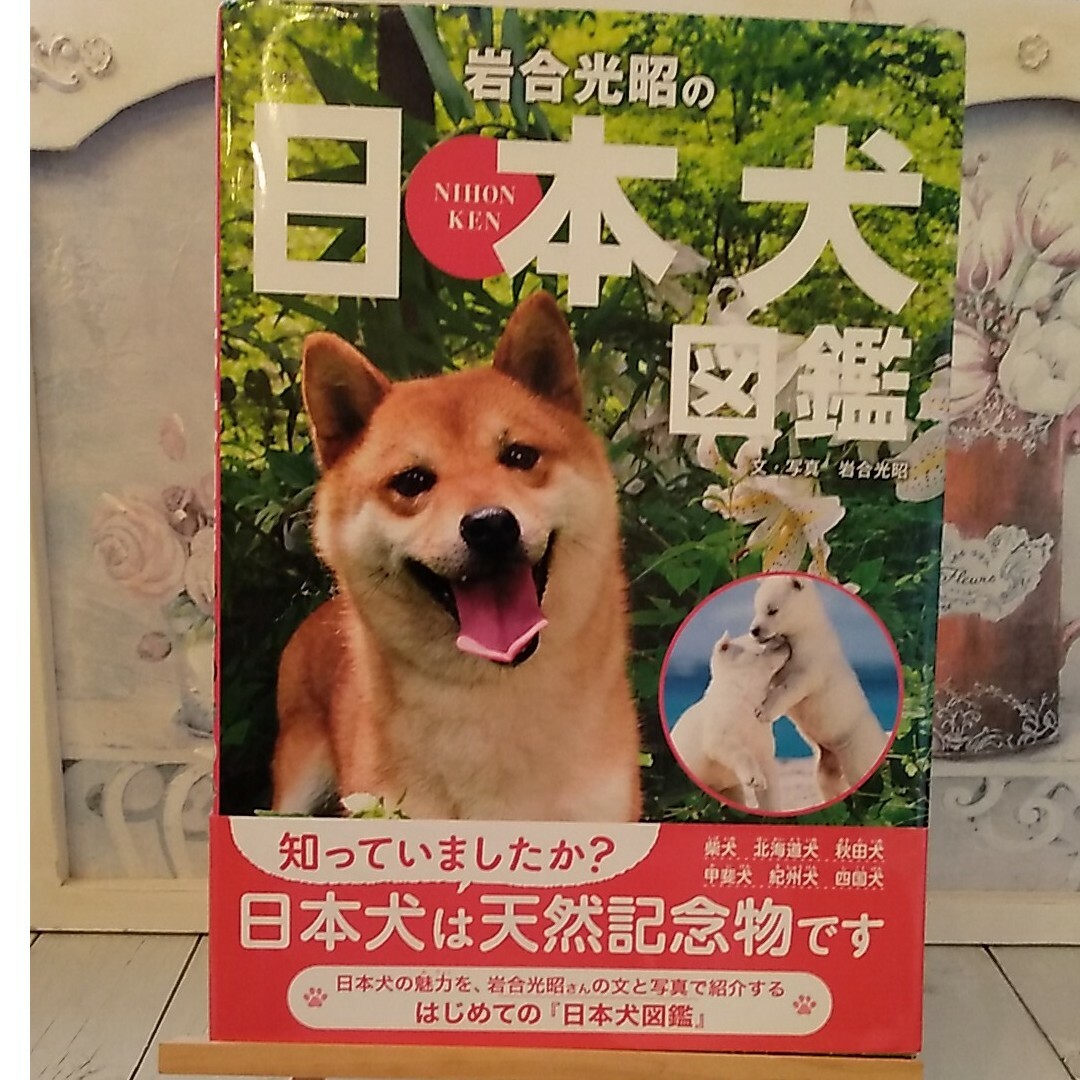 岩合光昭の日本犬図鑑 エンタメ/ホビーの本(絵本/児童書)の商品写真