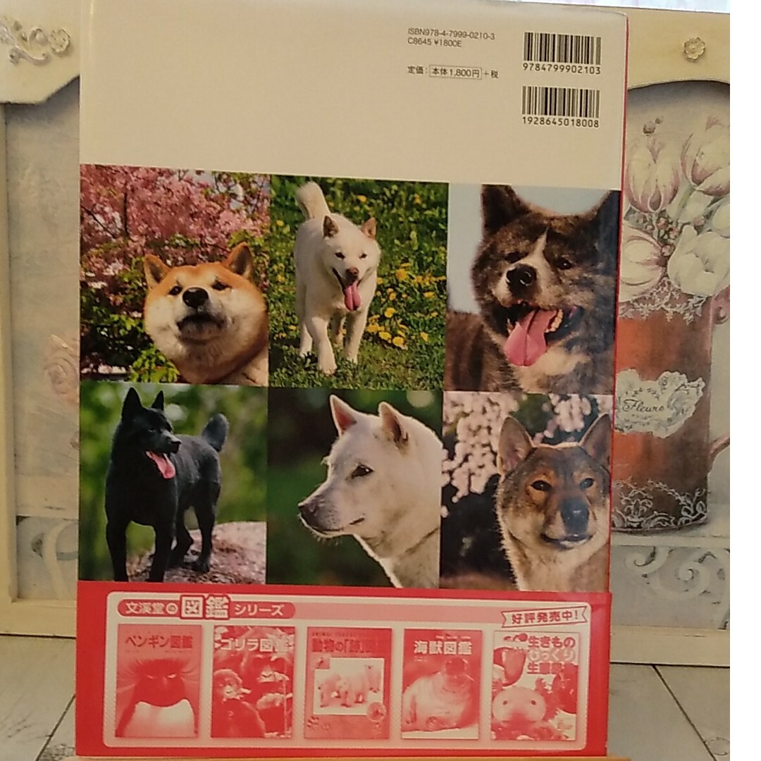 岩合光昭の日本犬図鑑 エンタメ/ホビーの本(絵本/児童書)の商品写真