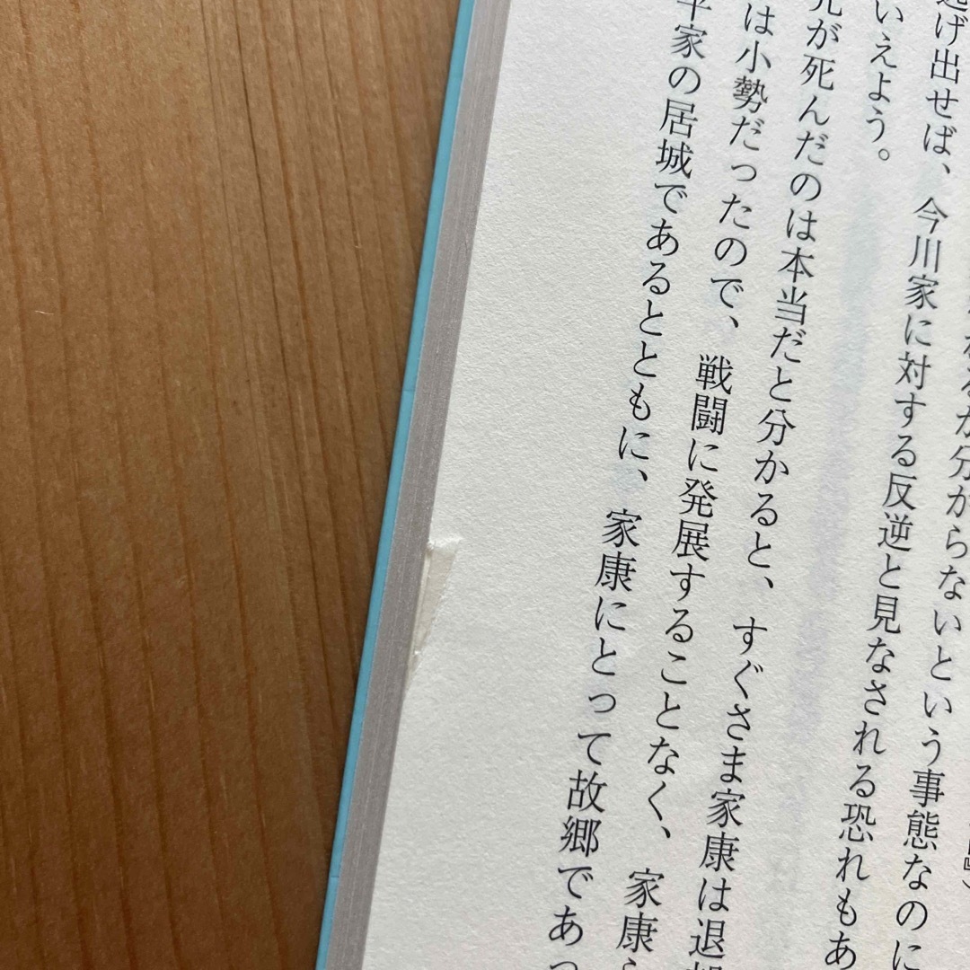 なぜ家康の家臣団は最強組織になったのか : 徳川幕府に学ぶ絶対勝てる組織論 エンタメ/ホビーの本(人文/社会)の商品写真