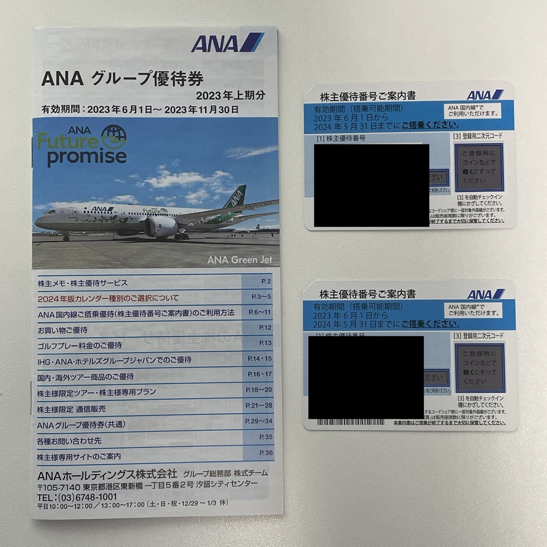 オンライン銀座 ANA 株主優待券 2枚セット ANAグループ優待券1冊付