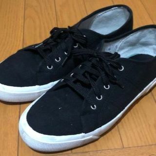 ヴァンズ(VANS)のグラジアナ GRAZIANA  キャンバス スニーカー　イタリア製(スニーカー)