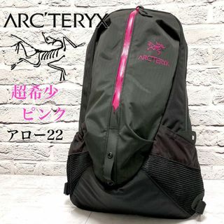 日本製 専用【美品】ピンクラインのおしゃれなアークテリクス リュック