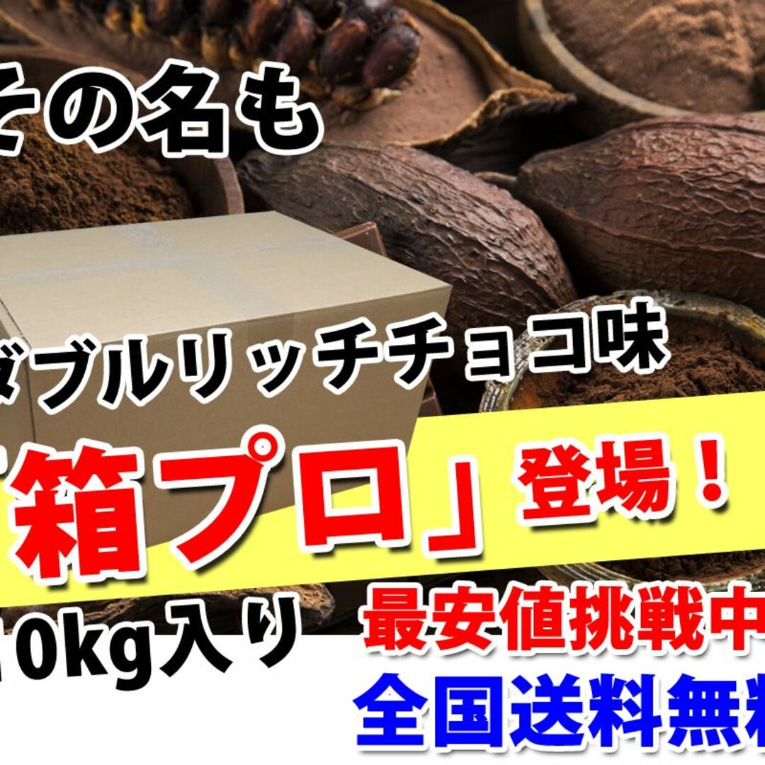 45g食塩相当量ダブルリッチチョコレート味のホエイプロテイン10kg入り★新品送無★無添加無加工