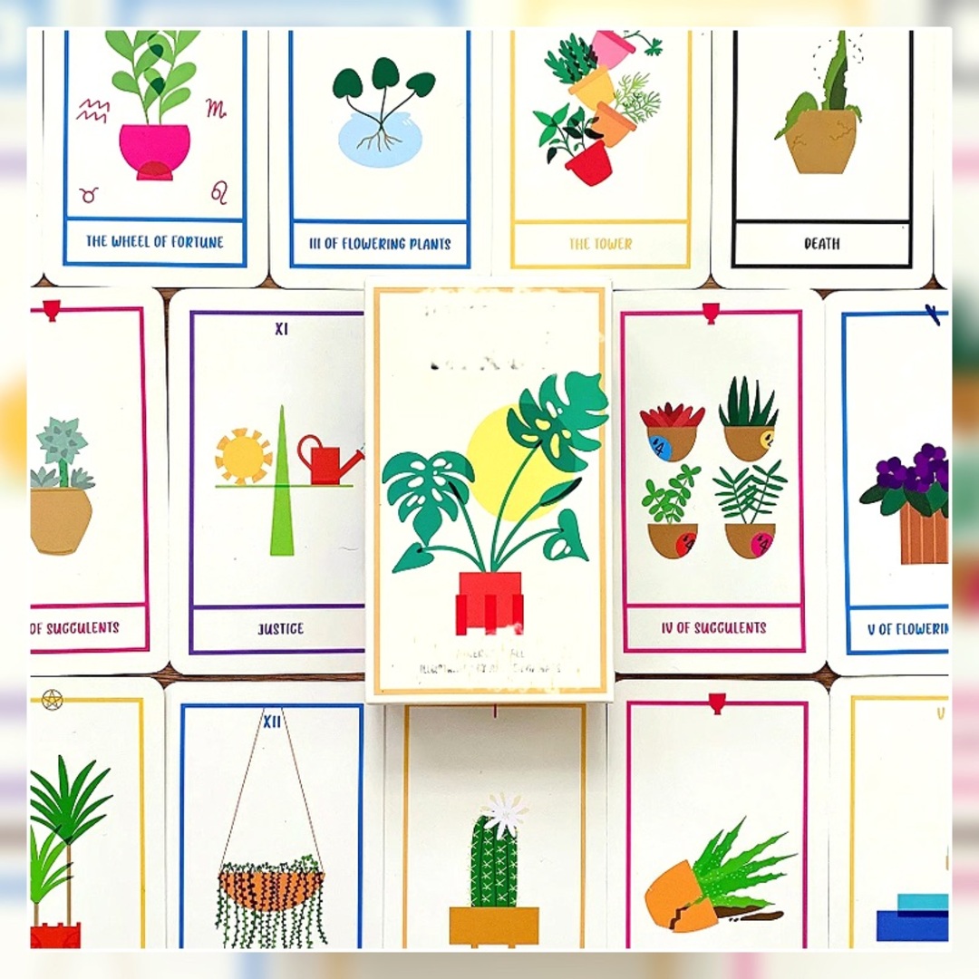 再×14入荷 ✨元気をチャージ✨爽やかでおしゃれな観葉植物の海外