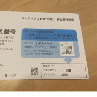 ソースネクスト 株主優待 4000ポイント(その他)