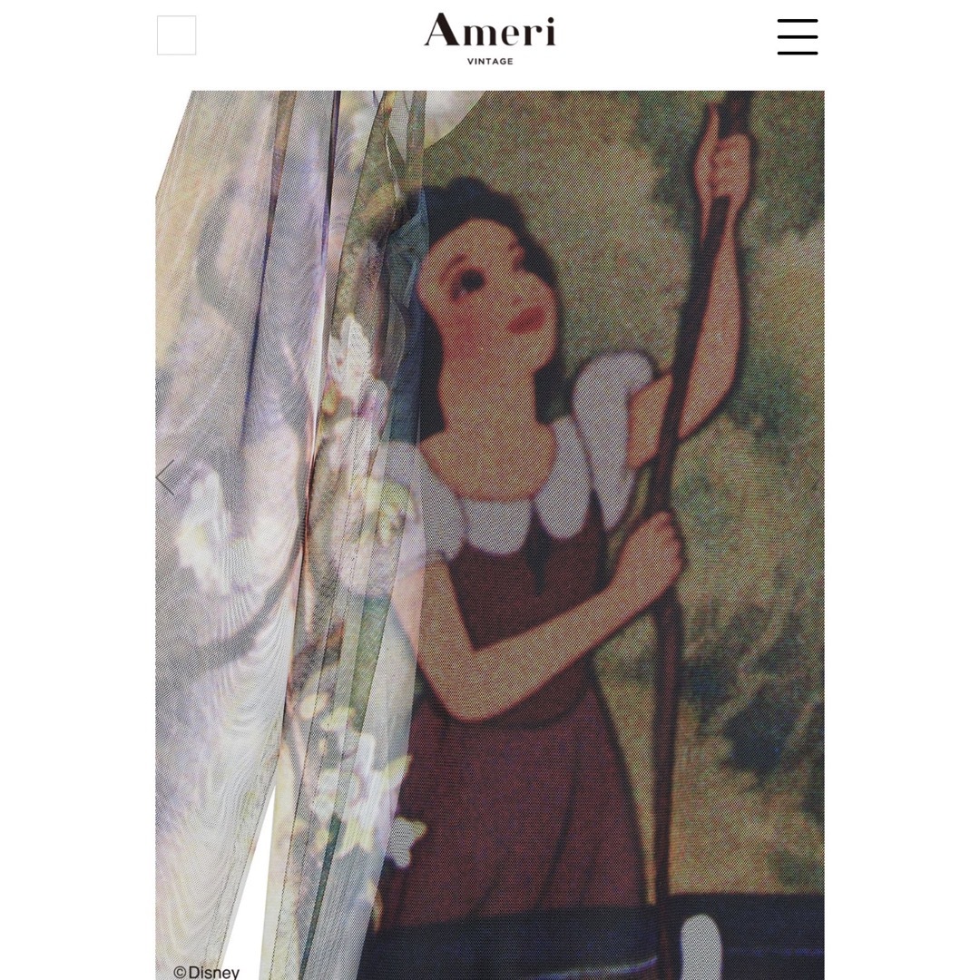 Ameri Snow White/SHEER TOP 7