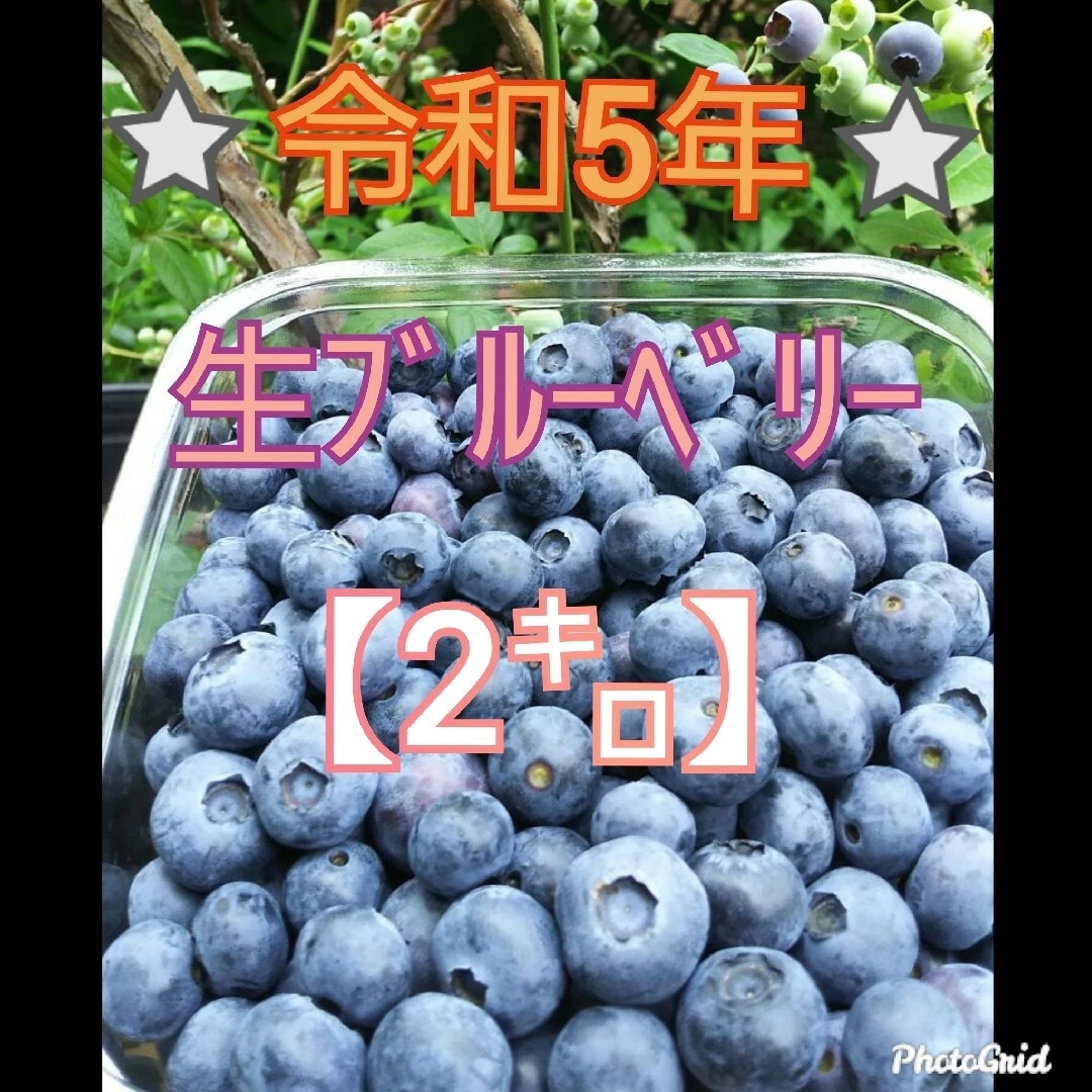 ⭐令和5年 生ﾌﾞﾙｰﾍﾞﾘｰ⭐2㌔ 食品/飲料/酒の食品(フルーツ)の商品写真