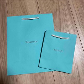 ティファニー(Tiffany & Co.)のTiffany ショップ袋　大小2枚セット(ショップ袋)