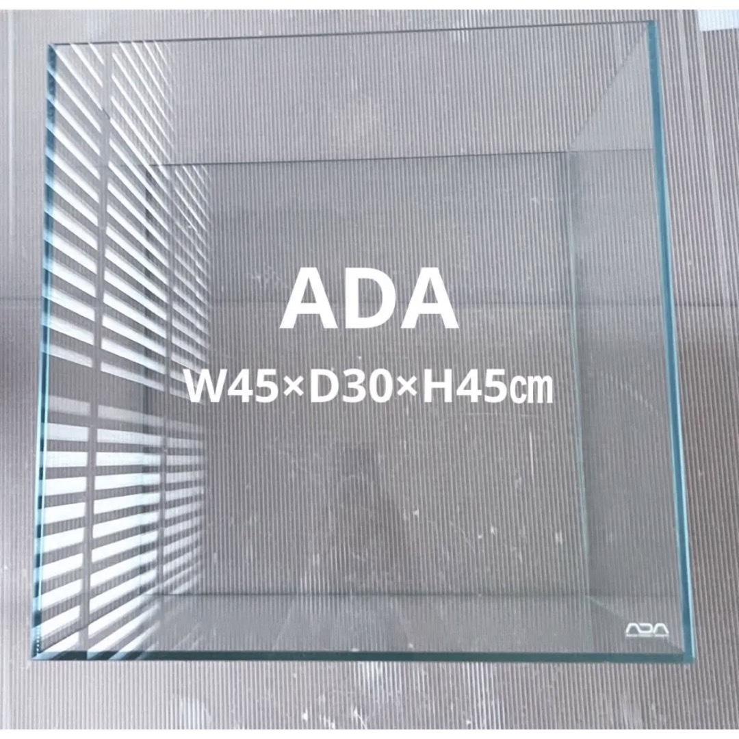 ADA キューブガーデンW60×D30×H45㎝⭐︎美品 | www.proesmin.com