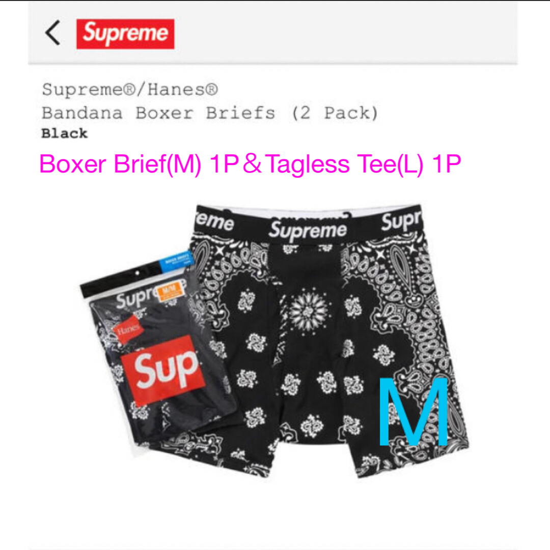 Supreme Hanes Bandana Tees Boxer BriefsTシャツ/カットソー(半袖/袖なし)