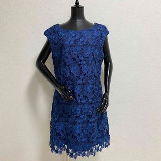 タダシショウジ(TADASHI SHOJI)の˚✧₊ 新品 POUR VOUS ラッセルレース刺繍 ドレスワンピース(ひざ丈ワンピース)