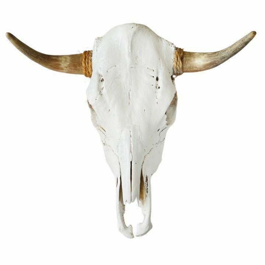 バッファロースカル 牛頭骨 ショートホーン カウスカル ナバホ 壁掛け オブジェ