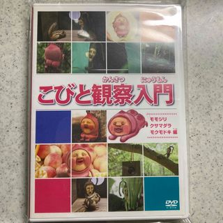 こびと観察入門　DVD(キッズ/ファミリー)