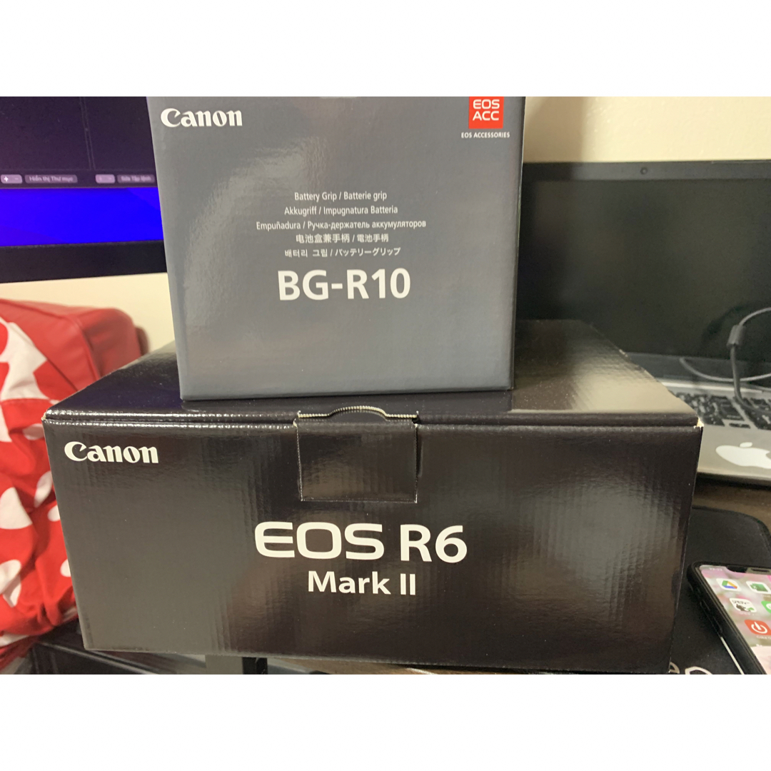 Canon EOS R6 Mark II R6 MARK II ボディとグリップ5880gファインダ種類