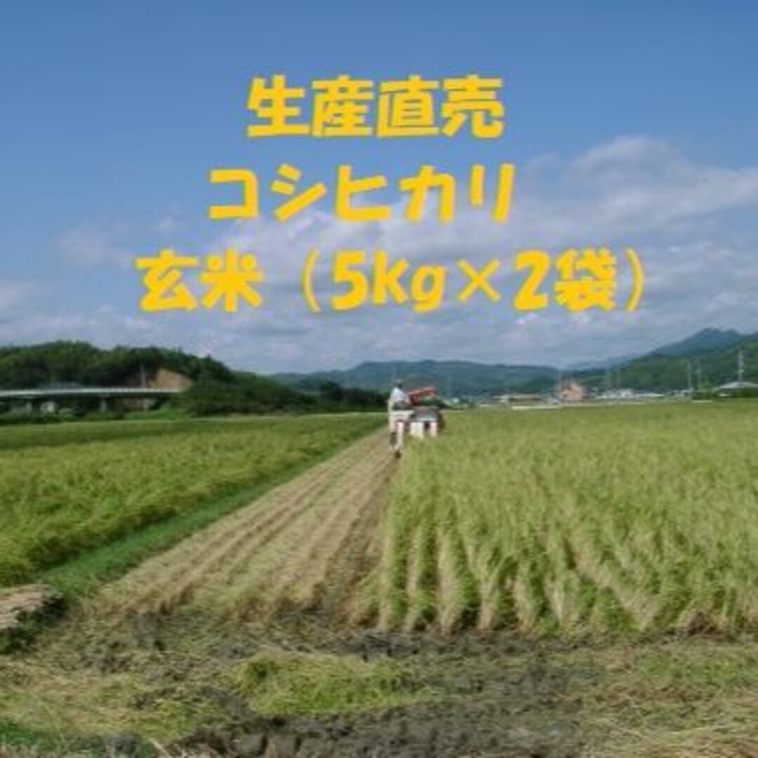 令和４年産新米コシヒカリ 玄米10kg（5kg×２袋）精米・分搗き精米・対応 食品/飲料/酒の食品(米/穀物)の商品写真