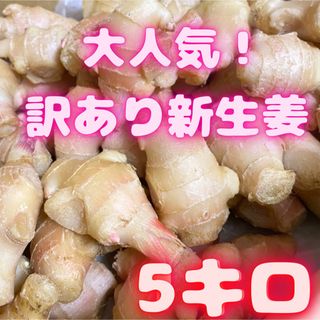 大特価！　大人気の訳あり新生姜　5キロ　10(野菜)