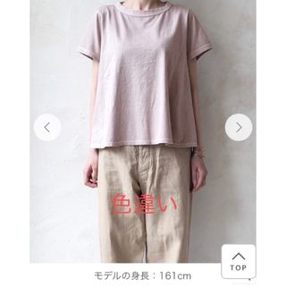 専用になります　オールドマンズテーラー  ドロシーTシャツ　XL ネストローブ