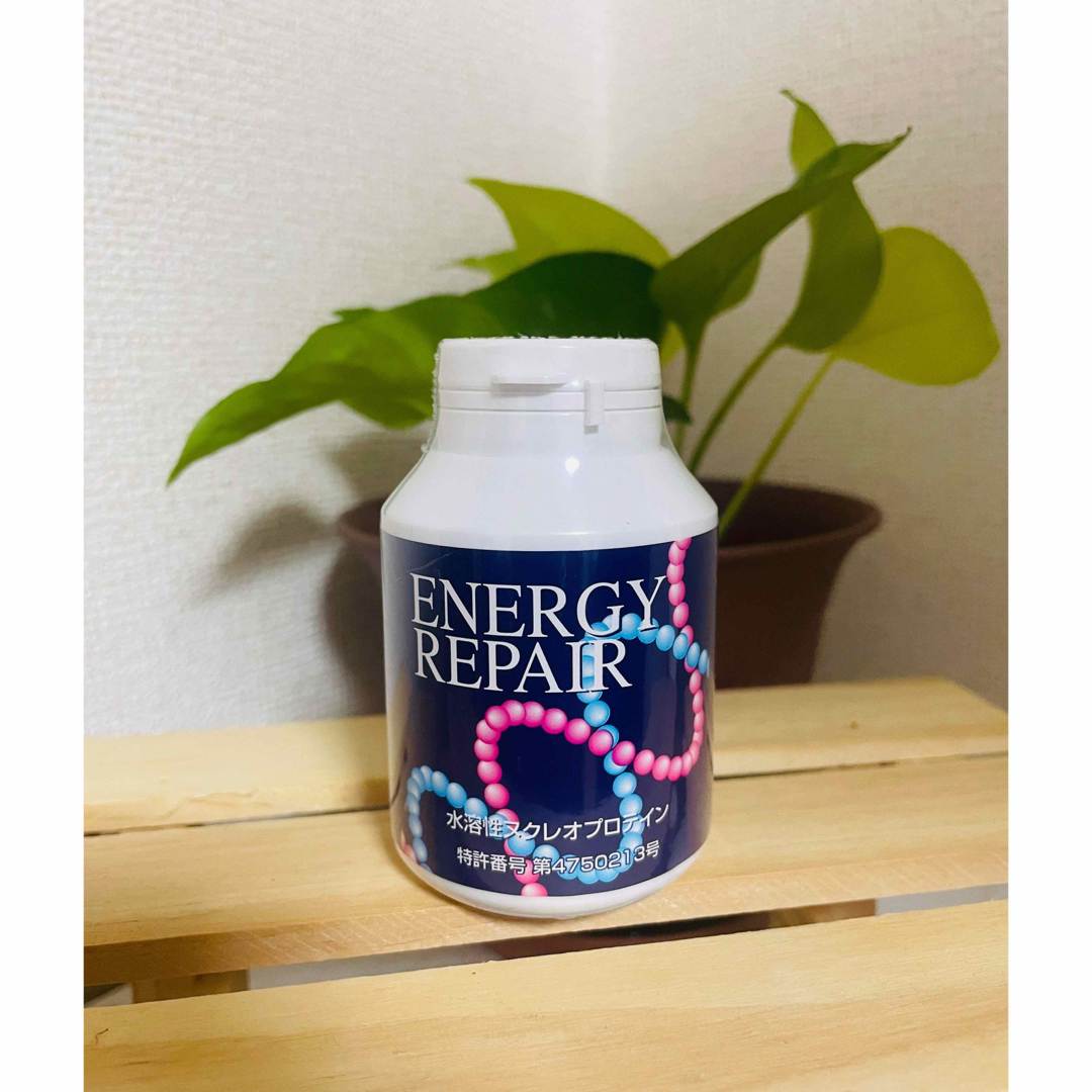 ファイナルフューチャーエナジーリペア核酸 1個 energy rapair - その他