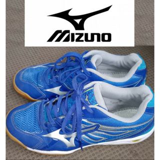 ランバード(RUNBIRD)のミズノ ランバード スニーカー 25.5cm(スニーカー)