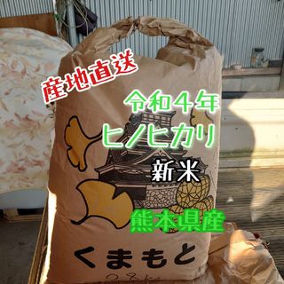 令和4年　ヒノヒカリ　新米　5kg 熊本県産(米/穀物)