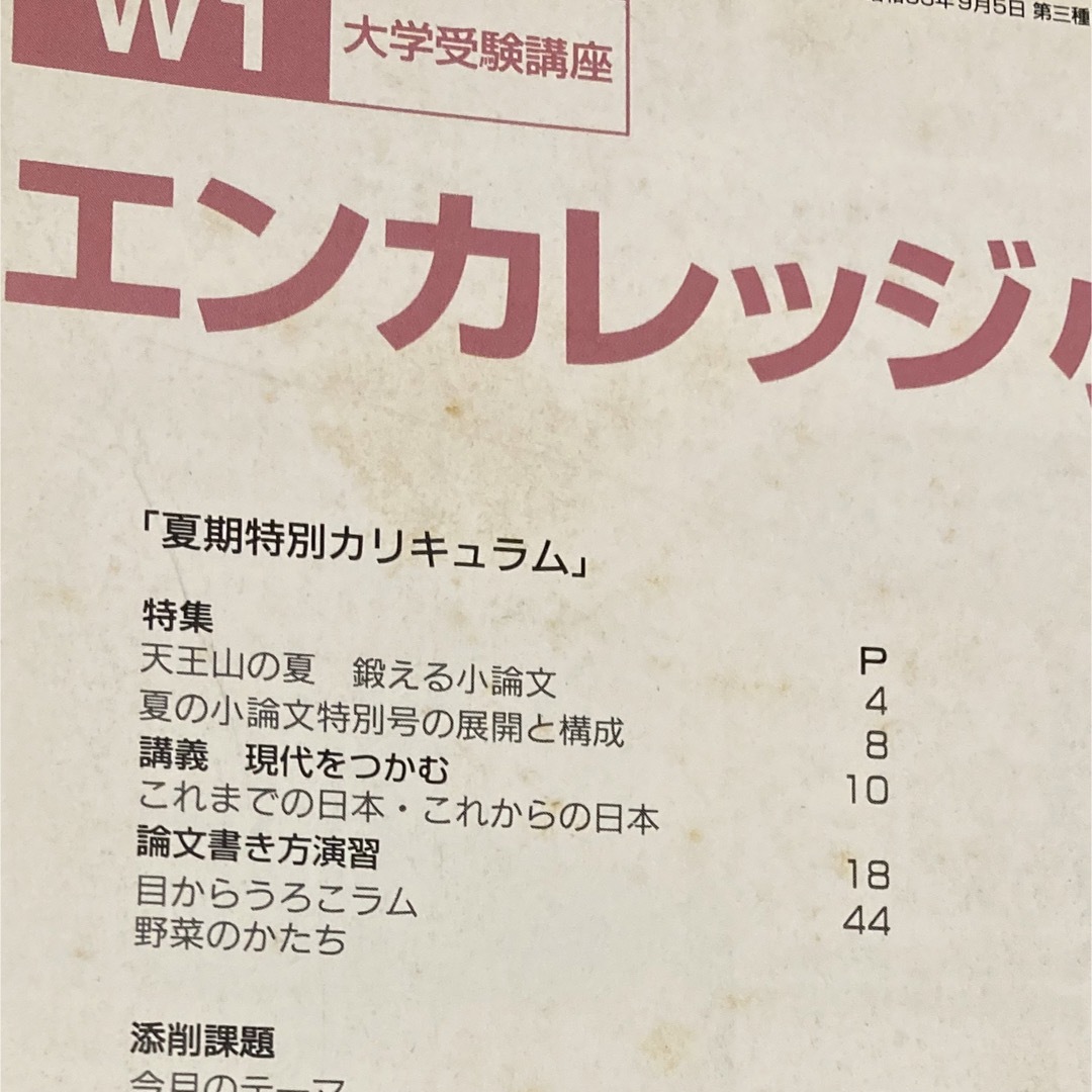 Benesse(ベネッセ)の進研ゼミ大学受験講座　エンカレッジ小論文　1996年8月号 エンタメ/ホビーの雑誌(語学/資格/講座)の商品写真