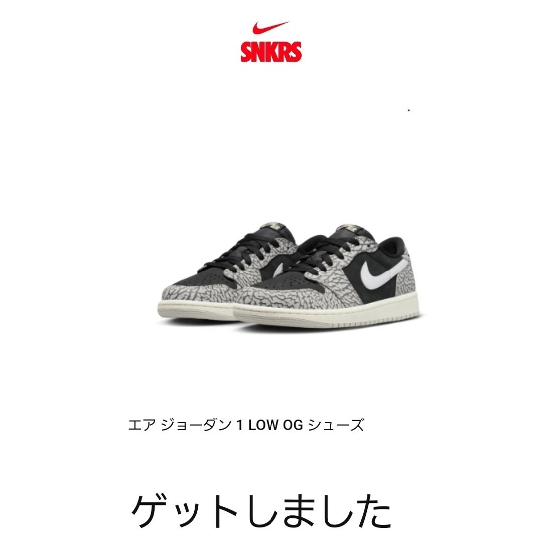 Nike エアジョーダン1 LOW OG Black Cement　28センチ