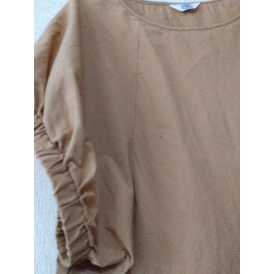 J.PRESS(ジェイプレス)のジェイプレス　ベージュブラウン　トップス レディースのトップス(シャツ/ブラウス(半袖/袖なし))の商品写真