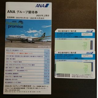 kenさん専用　ANAグループ優待券　株主優待券2枚(航空券)