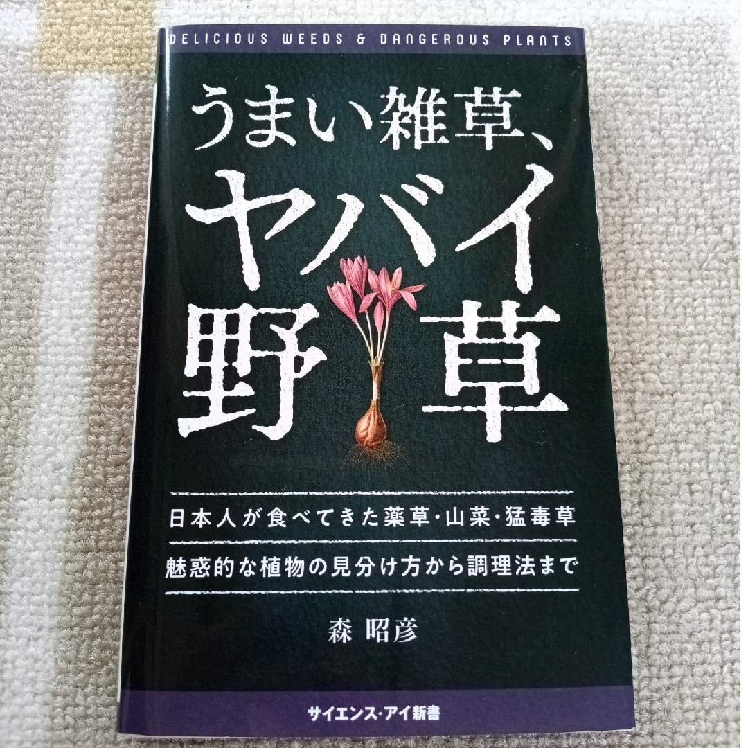 うまい雑草、ヤバイ野草 日本人が食べてきた薬草・山菜・猛毒草魅惑的な植物の エンタメ/ホビーの本(その他)の商品写真