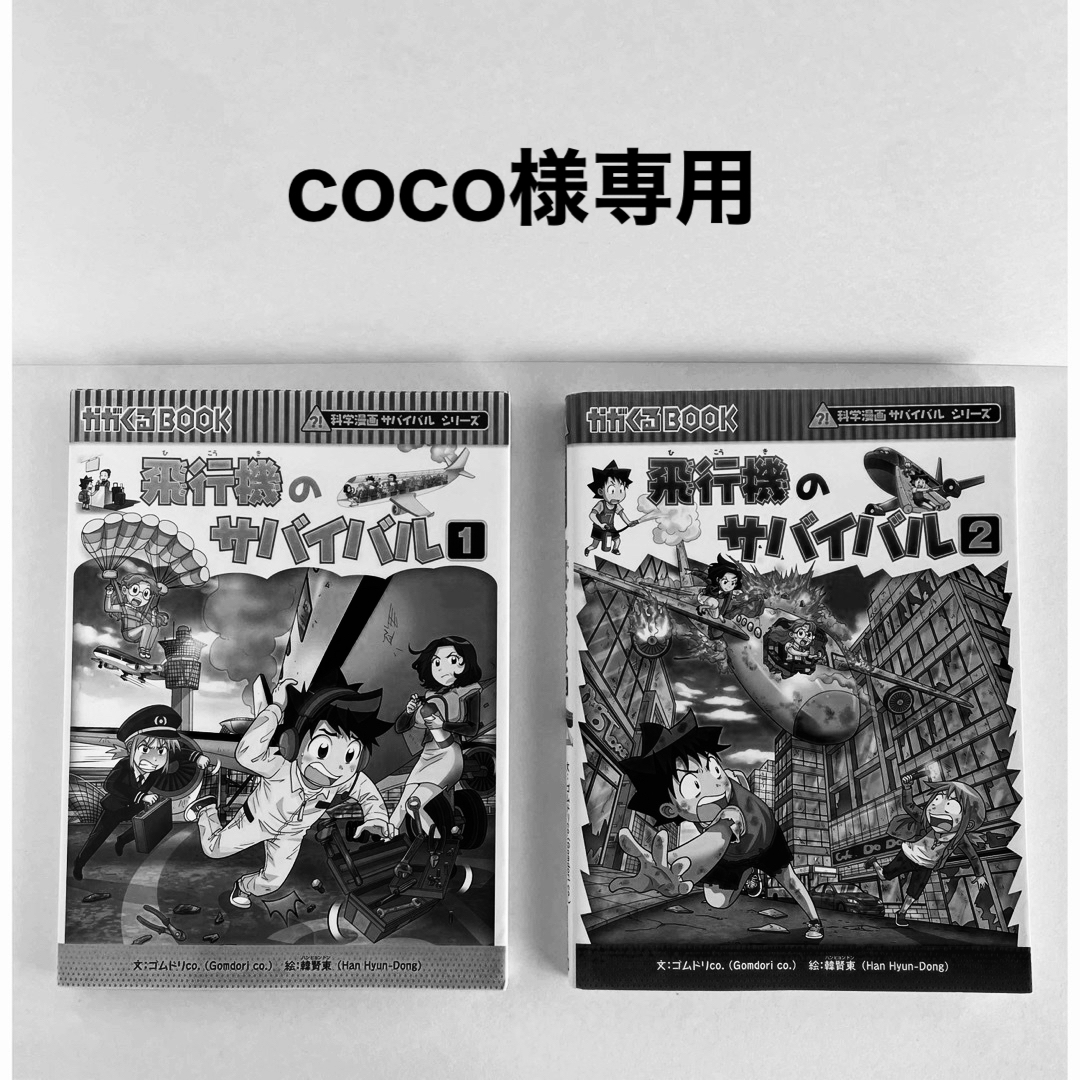 飛行機のサバイバル　1巻2巻 エンタメ/ホビーの漫画(その他)の商品写真