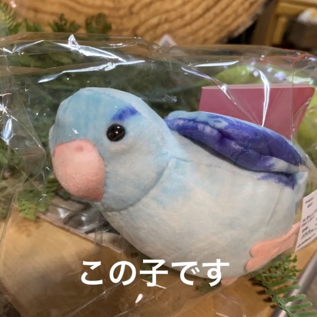 FELISSIMO(フェリシモ)のYOU+MORE!×小鳥部　愛らしいしぐさにきゅん　インコポーチ  マメルリハ  レディースのバッグ(ボディバッグ/ウエストポーチ)の商品写真