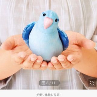 フェリシモ(FELISSIMO)のYOU+MORE!×小鳥部　愛らしいしぐさにきゅん　インコポーチ  マメルリハ (ボディバッグ/ウエストポーチ)