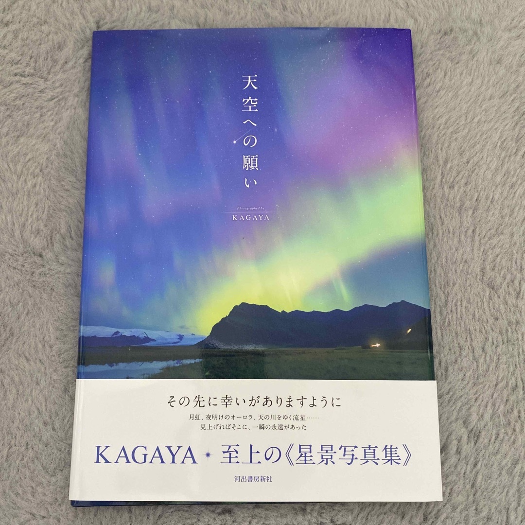 天空への願い エンタメ/ホビーの本(趣味/スポーツ/実用)の商品写真
