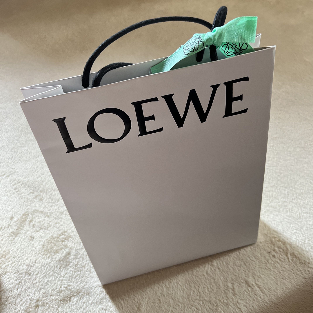 [美品] LOEWE ロエベ　ショッパー　大　プレゼント袋　5枚セット