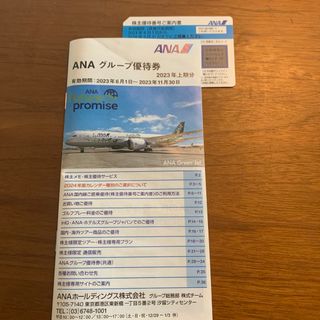 ANAグループ優待券(航空券)