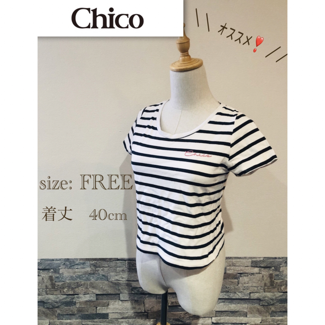 who's who Chico(フーズフーチコ)の＊ Chico ショート丈　チェーン刺繍　チビ　Tシャツ　ショート　ボーダー レディースのトップス(Tシャツ(半袖/袖なし))の商品写真