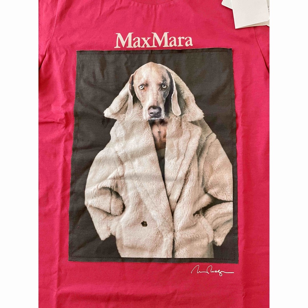 MaxMaraマックスマーラ新作23-24AW☆大人気DOG Tシャツ