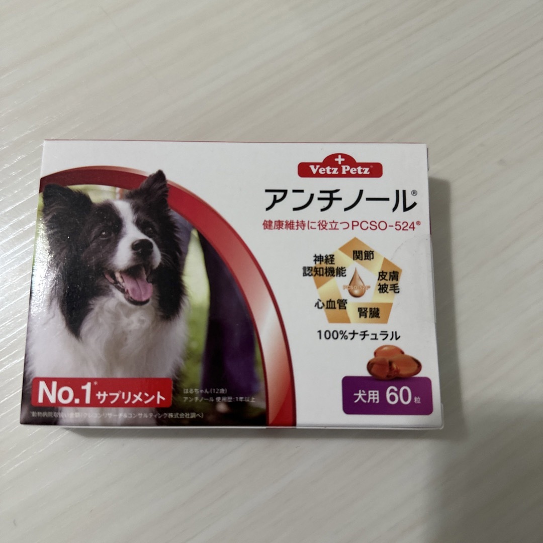 アンチノール 犬用 60粒