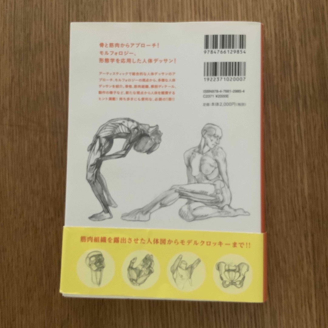モルフォ人体デッサン 形態学による人体を描くための新テクニック エンタメ/ホビーの本(アート/エンタメ)の商品写真