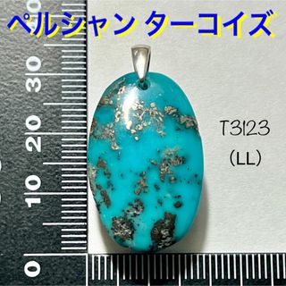 ◉天然石 ペルシャン ターコイズ ペンダントトップ（LL）2の通販 by