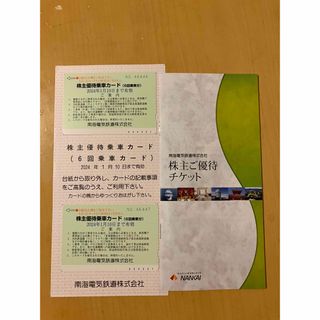 【ぴょんさま】南海電鉄　株主優待　2枚セット　2024年1月まで(鉄道乗車券)