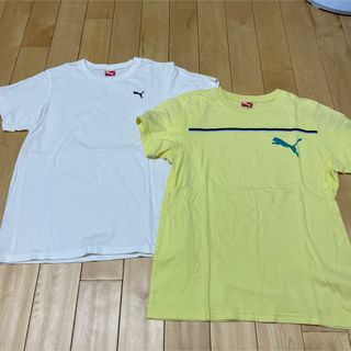 PUMA プーマ　Tシャツ　2枚セット(Tシャツ/カットソー)