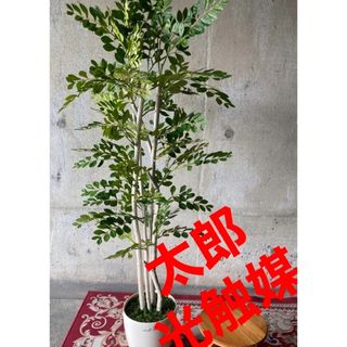 光触媒　人工観葉植物　人工観葉植物　フェイクグリーン　トネリコ1.8