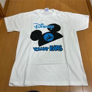 ヘインズ(Hanes)のHanes ヴィンテージ Disney ディズニー  Tee  90年代レア(Tシャツ/カットソー(半袖/袖なし))